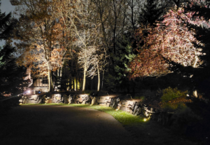 Blog-Skips- Landscape Lighting